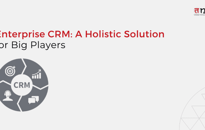 enterprise CRM: solution for big players