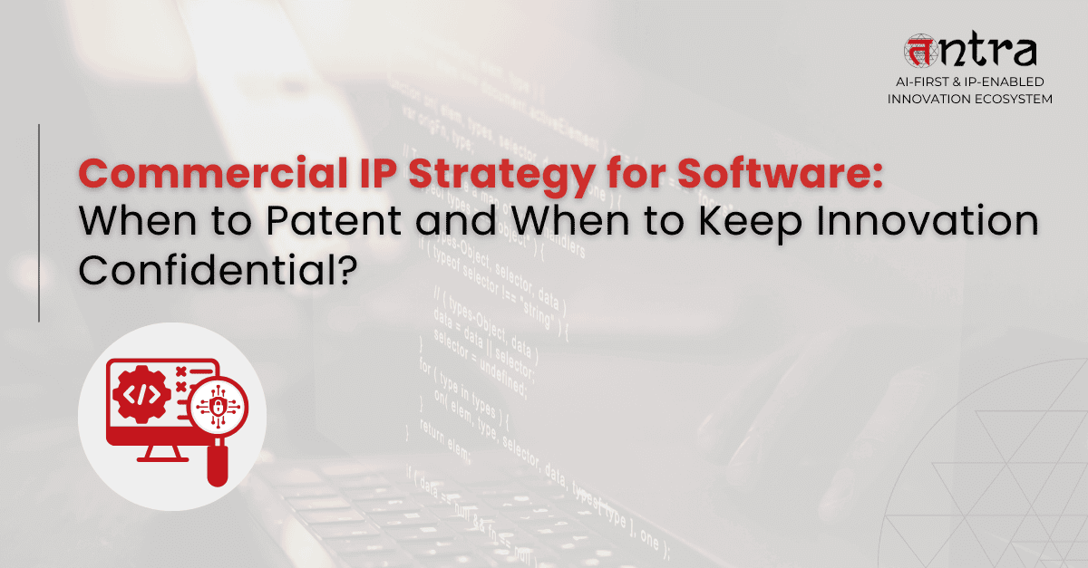 Commercial IP Strategy for Software